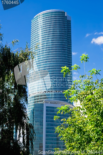 Image of Nature and skyscraper