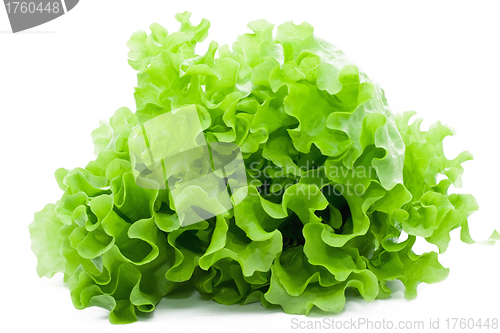 Image of Lettuce