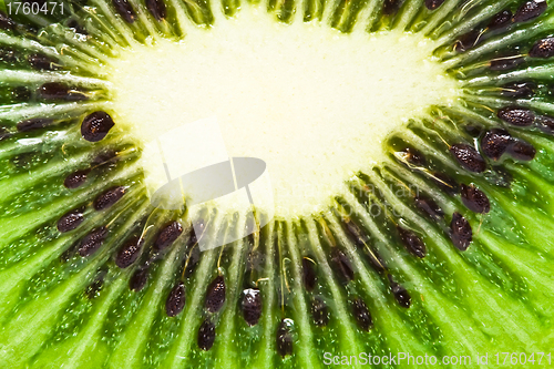 Image of Kiwi