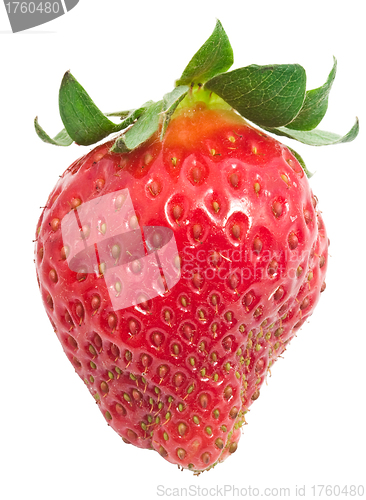 Image of Strawberry