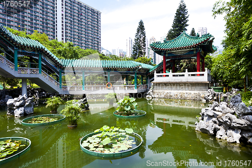 Image of Chinese garden