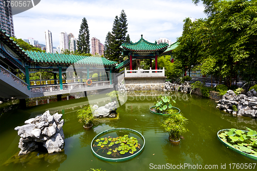 Image of Chinese garden