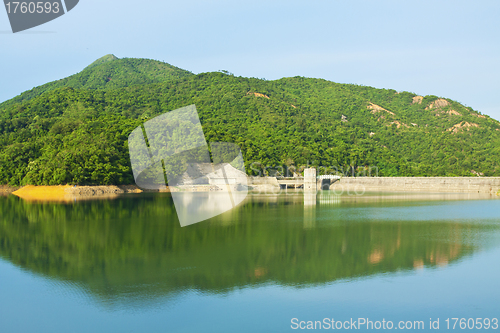 Image of Lake in forest