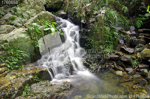 Image of Waterfall in forest