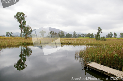 Image of Wetland in Hong Kong