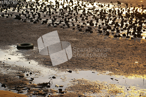 Image of Mud land along the coast