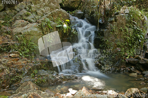 Image of Waterfall in forest