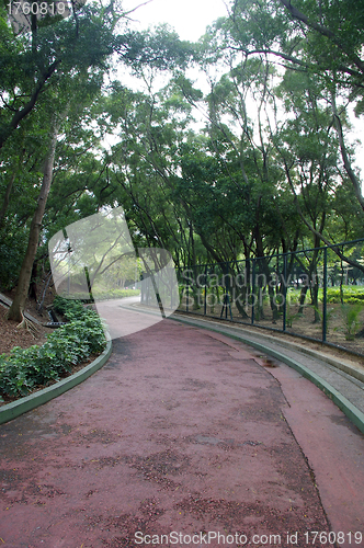 Image of Path in a park