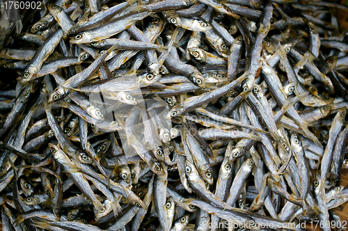 Image of Salted fishes in Cheung Chau, Hong Kong.