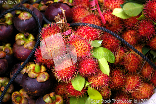 Image of Rambutan and purple mangosteen fruits