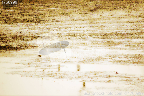 Image of Yellow sea background