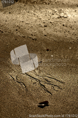 Image of Pattern on the beach 