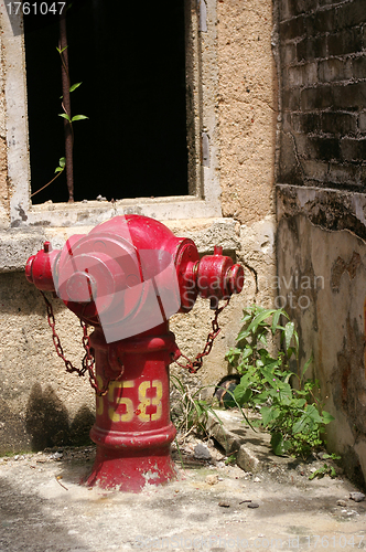 Image of A fire hydrant