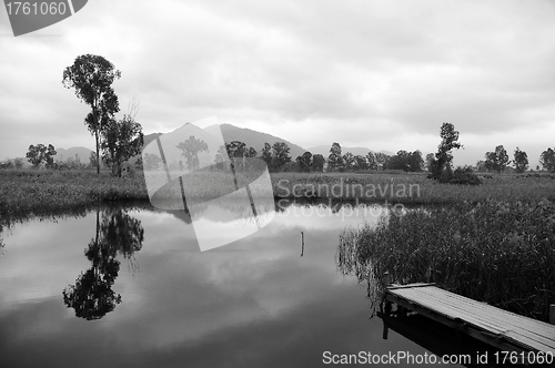 Image of Wetland in Hong Kong in black and white tone