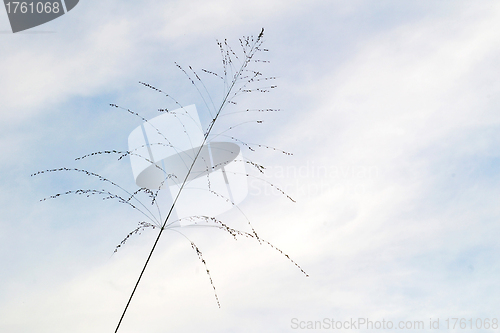 Image of Blue sky background
