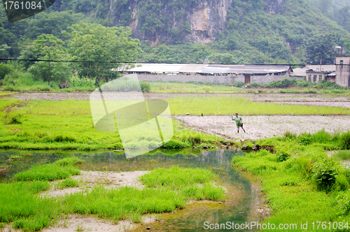 Image of Farmland in China
