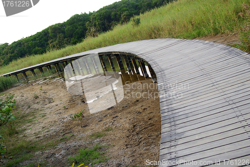 Image of Path in wetland