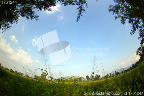 Image of Wetland in Hong Kong