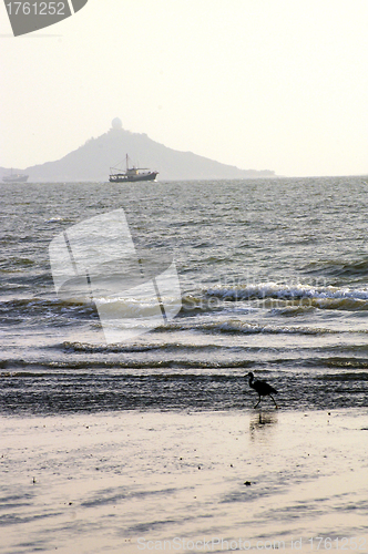 Image of Coast in Hong Kong