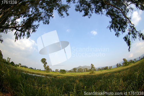 Image of Wetland in Hong Kong at day