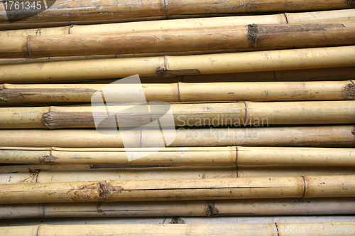 Image of Bamboo background