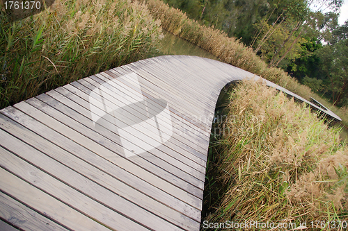 Image of Path in wetland