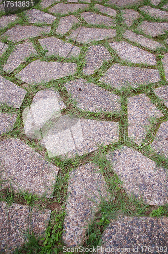 Image of Stony ground