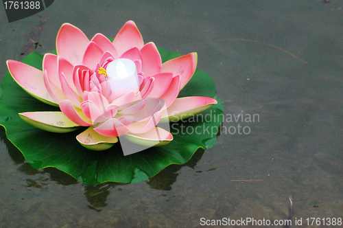 Image of Water lantern to make wish