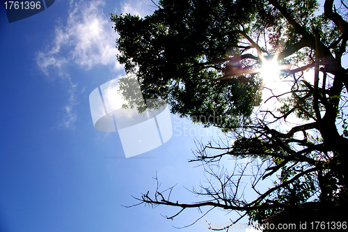 Image of Blue sky illuminated by a sunlight 