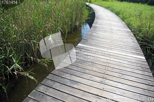 Image of Wetland path in Hong Kong