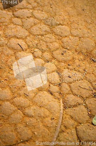 Image of Dried land