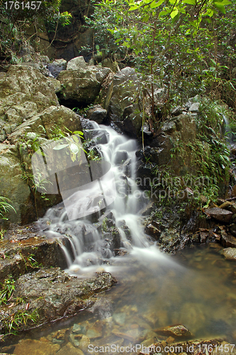 Image of Water stream in forest