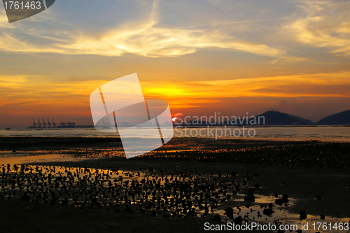 Image of Beautiful sunset along seashore in Hong Kong