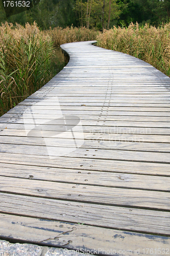 Image of Path in wetland