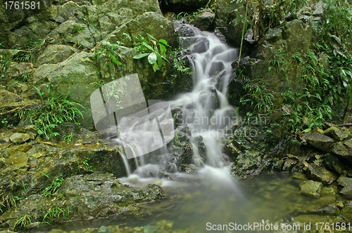 Image of Waterfall in forest