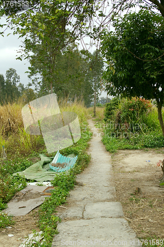 Image of Path in a park