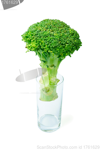 Image of Broccoli in a glass isolated on white background