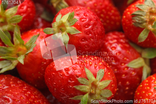 Image of Fresh Strawberries with Green Leaf