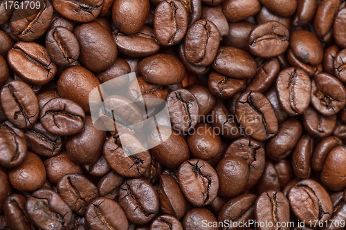 Image of Background of Fresh Roasted Coffee Beans