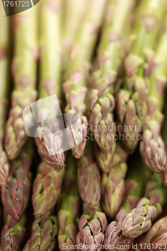 Image of Fresh green Asparagus