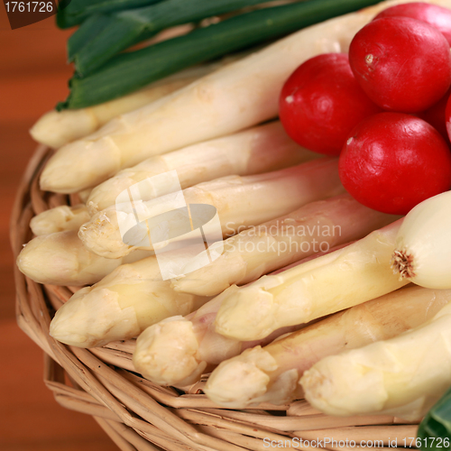 Image of Fresh Asparagus