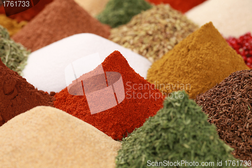 Image of Spices and herbs