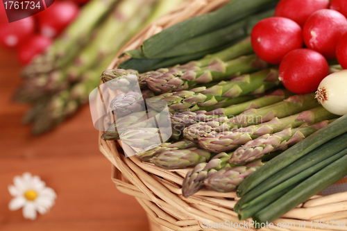 Image of Fresh Asparagus