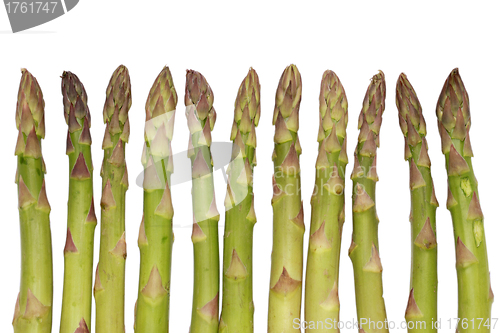 Image of Green Asparagus