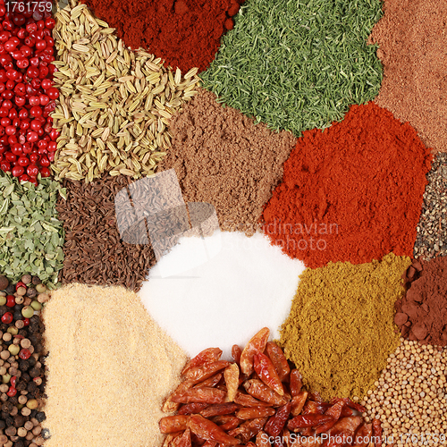 Image of Colorful Spices