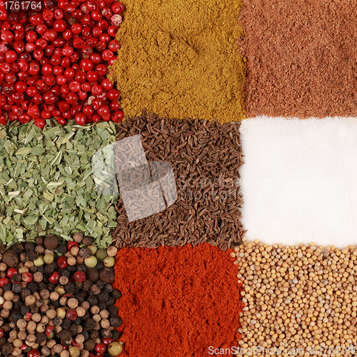 Image of Colorful Spices