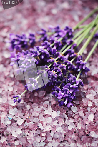 Image of lavender bath salt