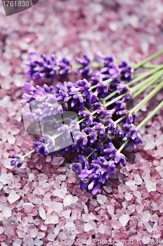 Image of lavender bath salt