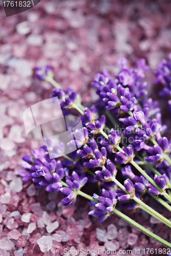 Image of lavender bath salt