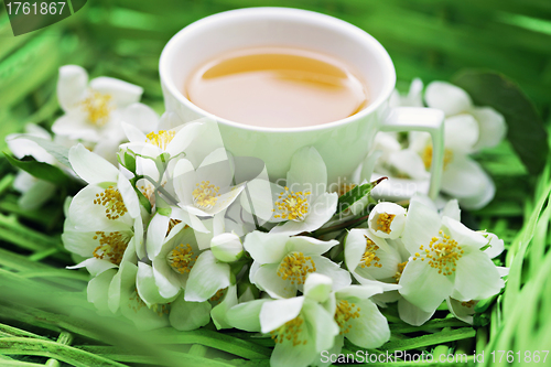 Image of jasmin tea